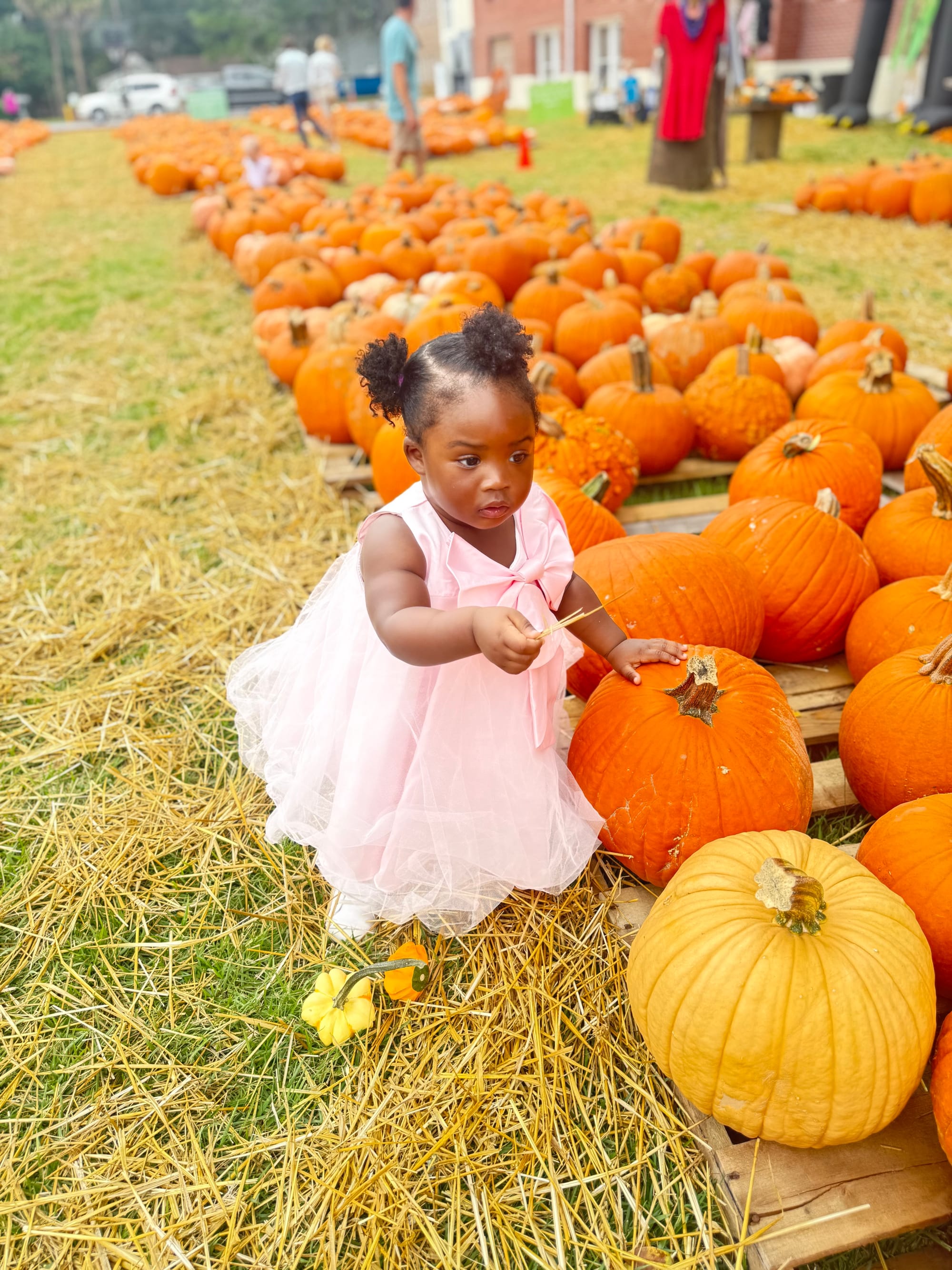 October 2025 in Beaufort, SC: Festivals, Pumpkins, and Can’t-Miss Events