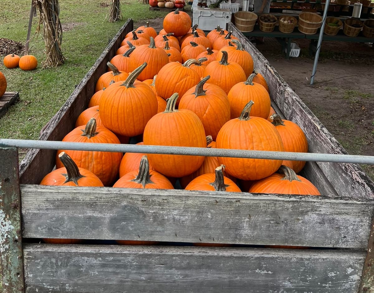 Fall Bazaar and Harvest Festivals 2025 in Beaufort, SC