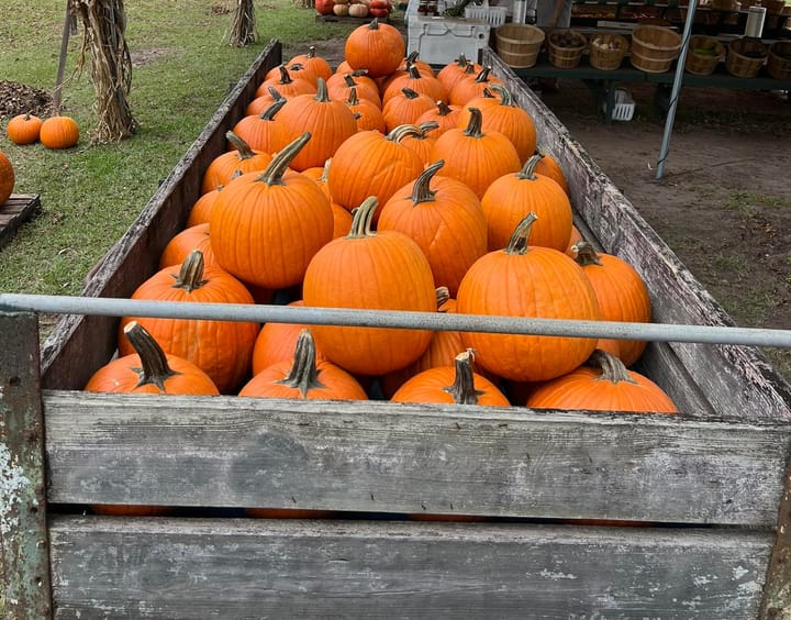 Fall Bazaar and Harvest Festivals 2025 in Beaufort, SC